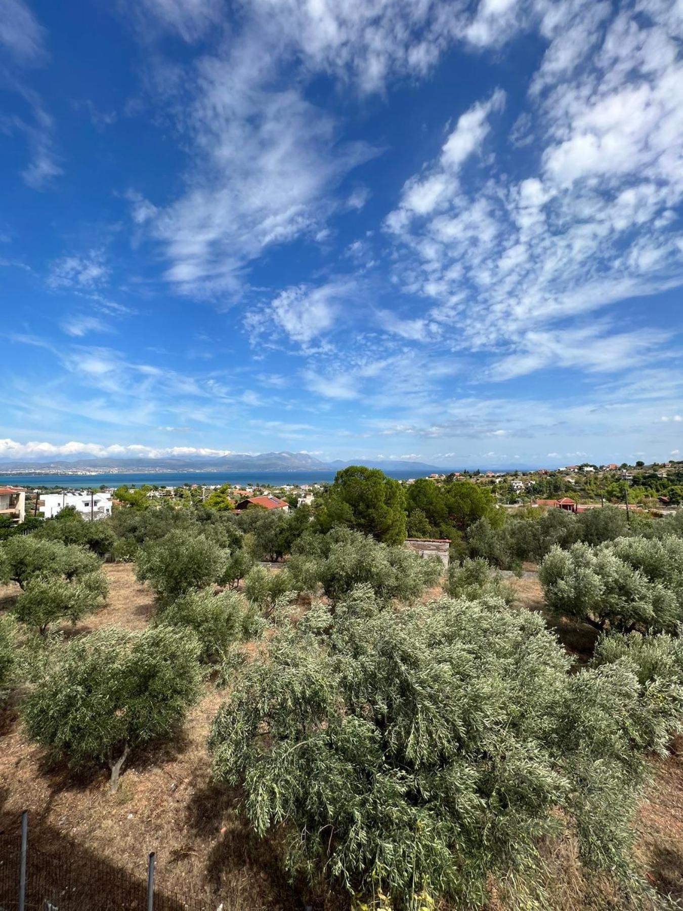Вілла Xenia'S Seaview House Paralia Avlidhos Екстер'єр фото